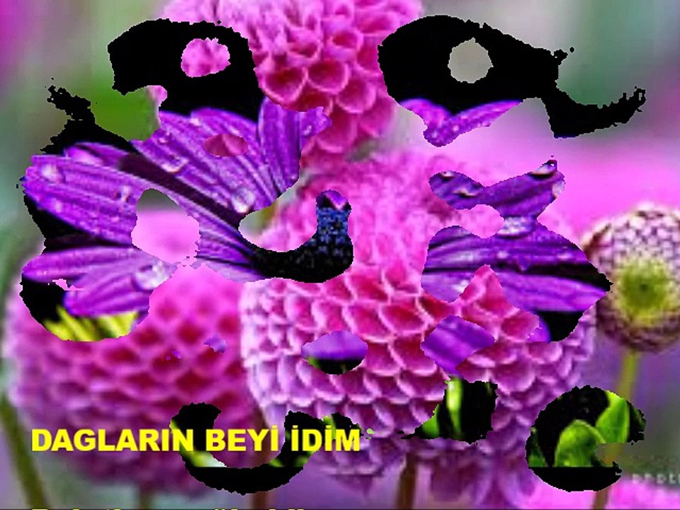 DAGLARIN BEYI IDIM - Dagbey Şiirleri