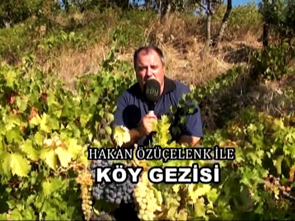 297 Fethiye Bal Kongresi