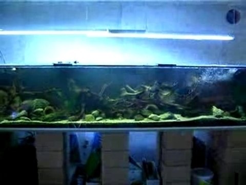 brassage 1600 litres