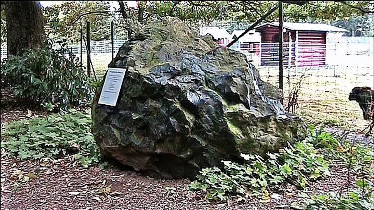 Zu Besuch im Wildpark Bad-Marienberg – 2