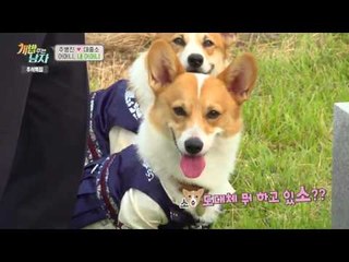 주병진 “고생만 하신 어머님, 조금만 더 살아계셨으면...”