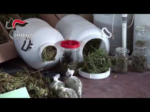 Deposito di marijuana in casa. Arrestato sindacalista