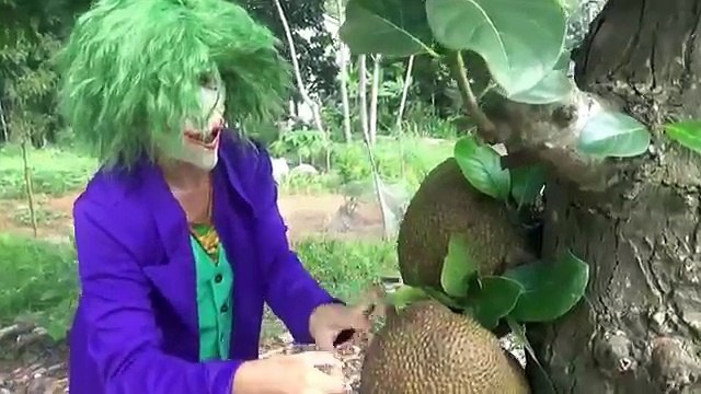 Spiderman y with BIKINI | Frozen Elsa distorted mouth | Joker kissing Elsa