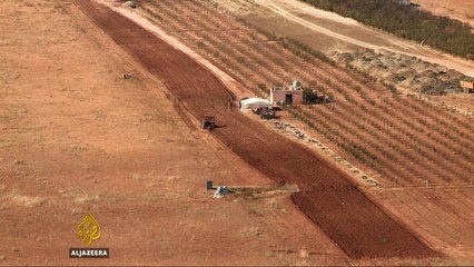 Lebanon's cannabis industry thriving