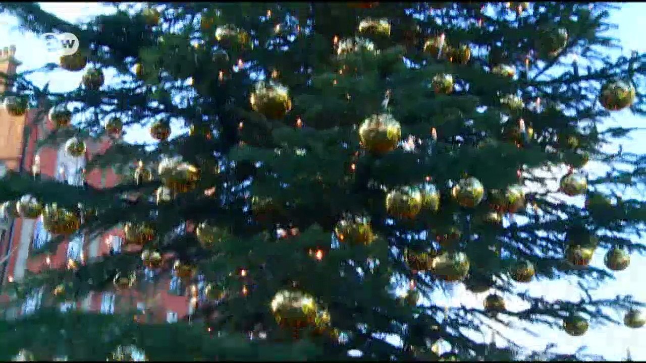 Windsor: Weihnachtsbaum für die Queen | Euromaxx
