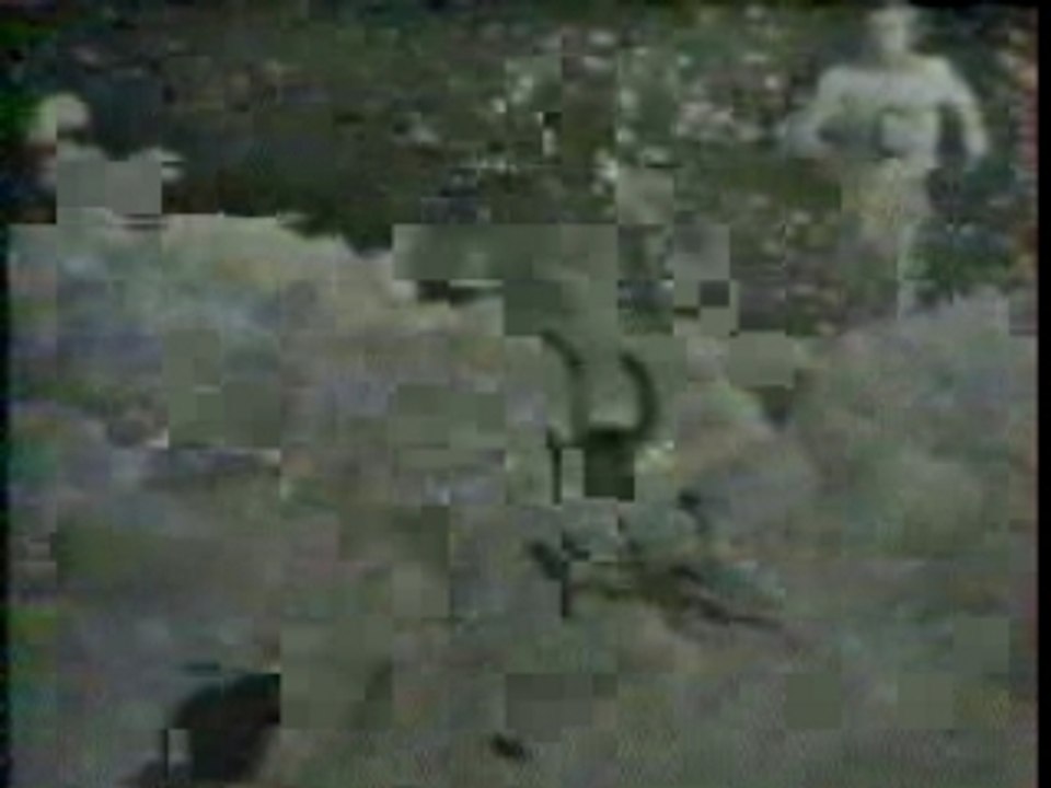 Intervilles Bagarre Générale Dans La Mousse