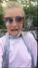 ‫شاهد ماذا فعل قرد بفتاة حاولت اسـ تفـزازه‬‎