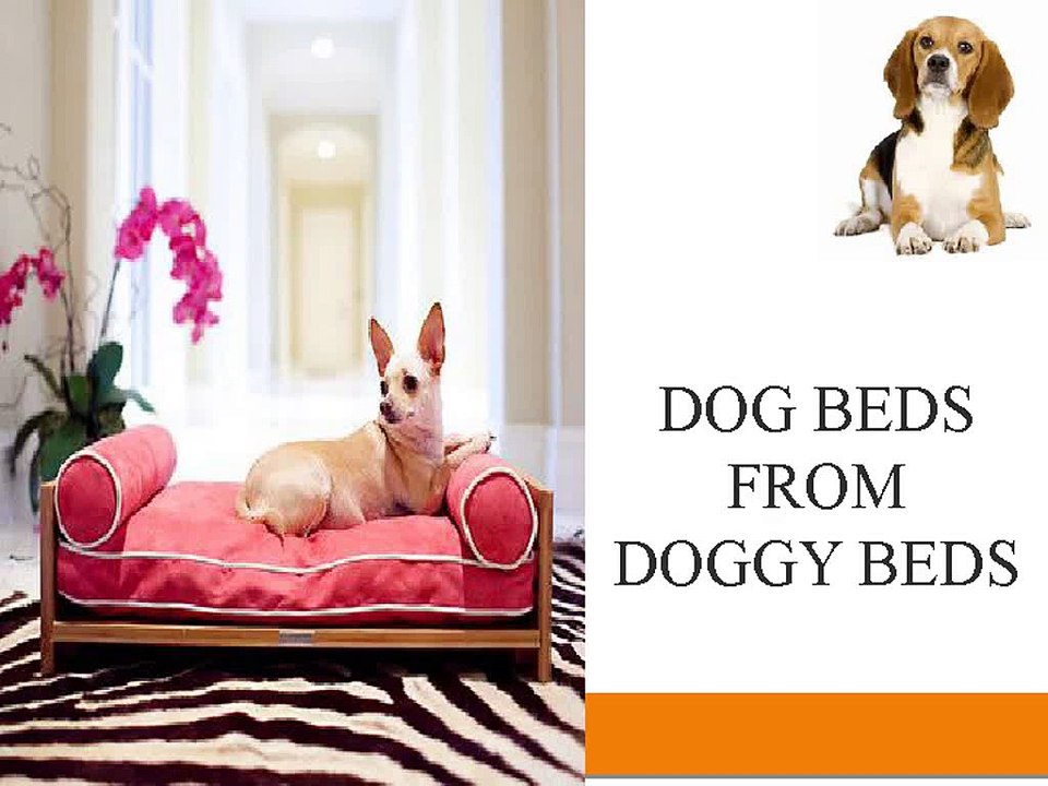Dog Beds from Doggy beds