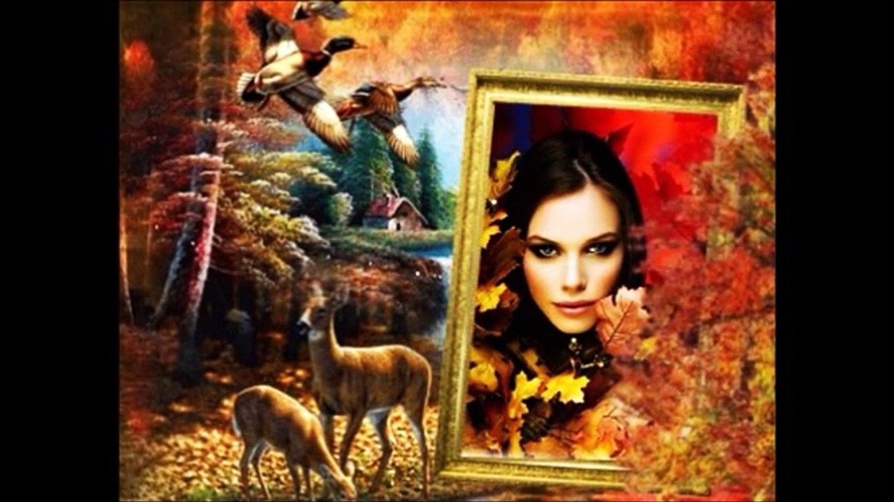 Autumn Colors