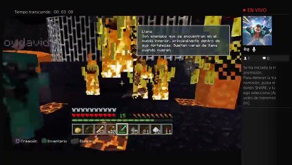 fiesta fiesta pluma pluma gay (14)