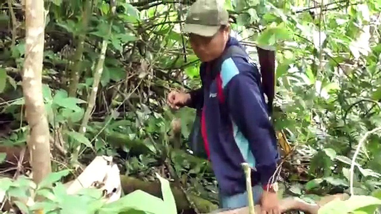 2017狩猟来る動物