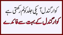 Benefits Of Aloe Vera , Health Tips In Urdu