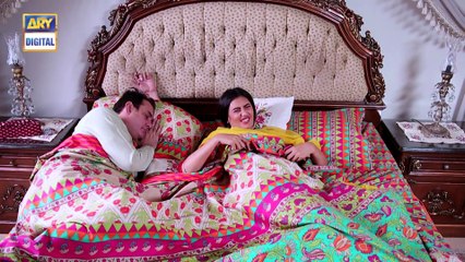 Watch Dilli Walay Dularay Babu Episode 13 on Ary Digital in High Quality 19th November 2016
