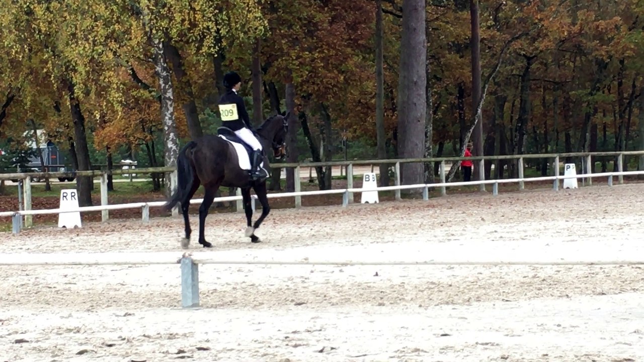 Dressage Olympic & Gwenaëlle CCE Ama2 Fontainebleau 11.11.2016