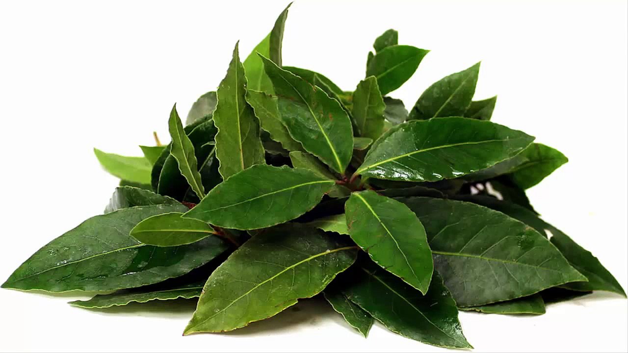 Burn A Bay Leaf In Your House and See What Happens After 10 Minutes!
