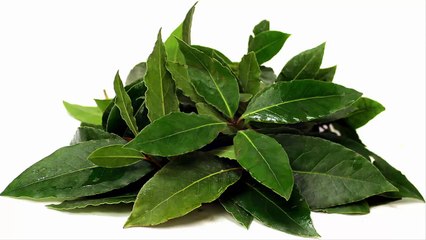 Burn A Bay Leaf In Your House and See What Happens After 10 Minutes!