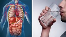 This is What Happens When You Drink Only Water For 30 Days