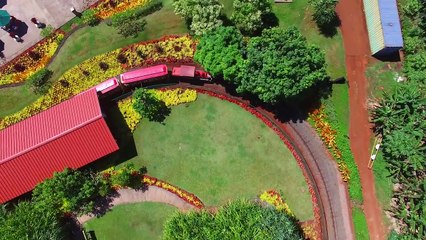 HAWAII ICE CREAM TOWER! Pineapple Everything @ Dole Plantation