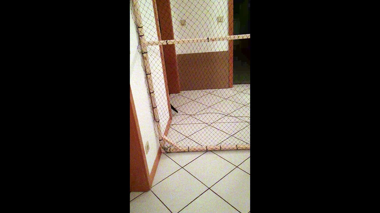 Asta und Lucia an der Gittertür