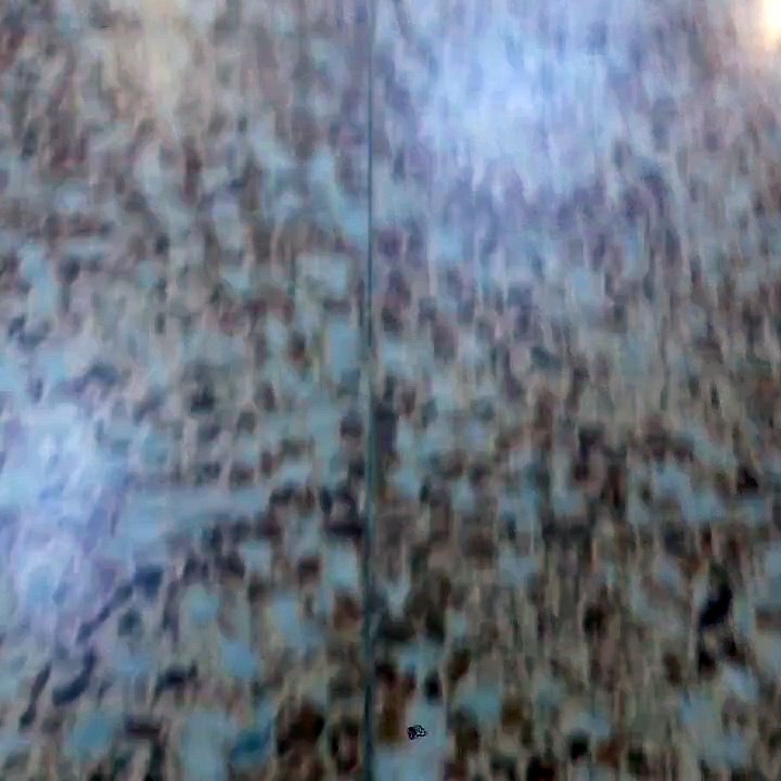 flip challenge