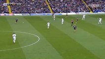 Dwight Gayle Super Goal HD - Leeds United 0-1 Newcastle United - 20.11.2016 HD
