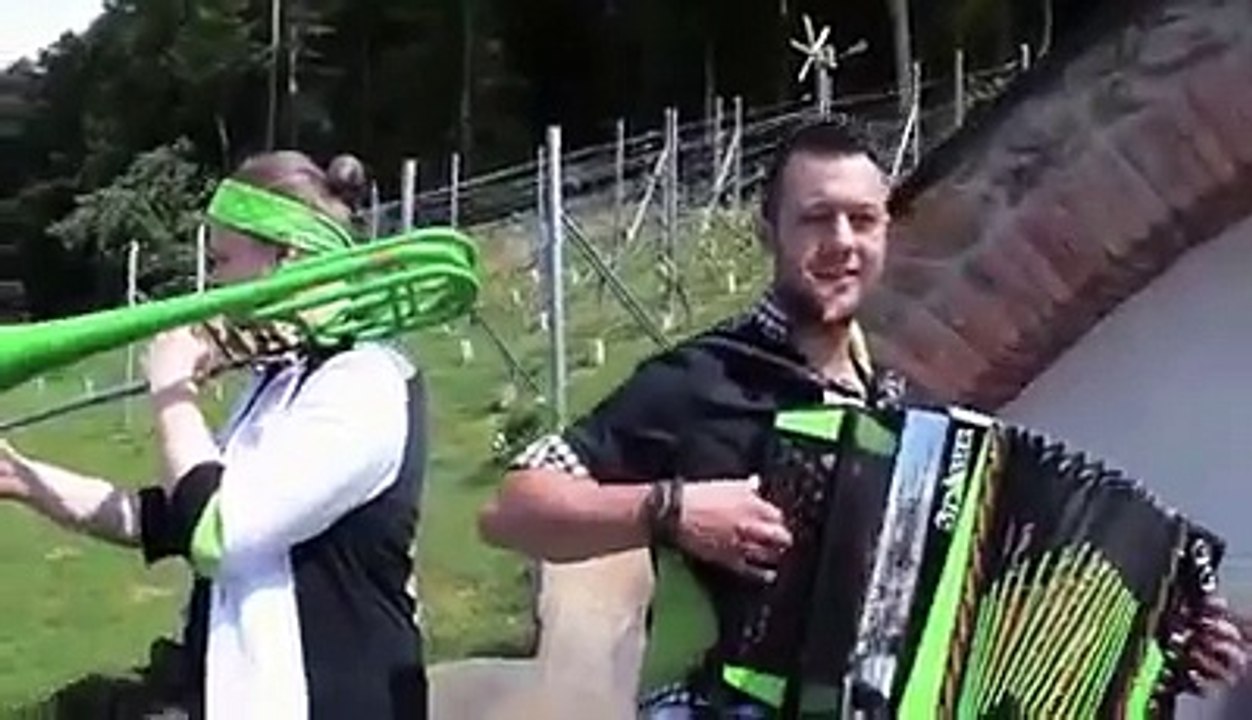 Die Hektar hat (die immer lacht Cover)