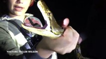 Miller Wilson - Wild Animals, Fishing, Sharks, lizards, Eels and Snakes . - YouTube