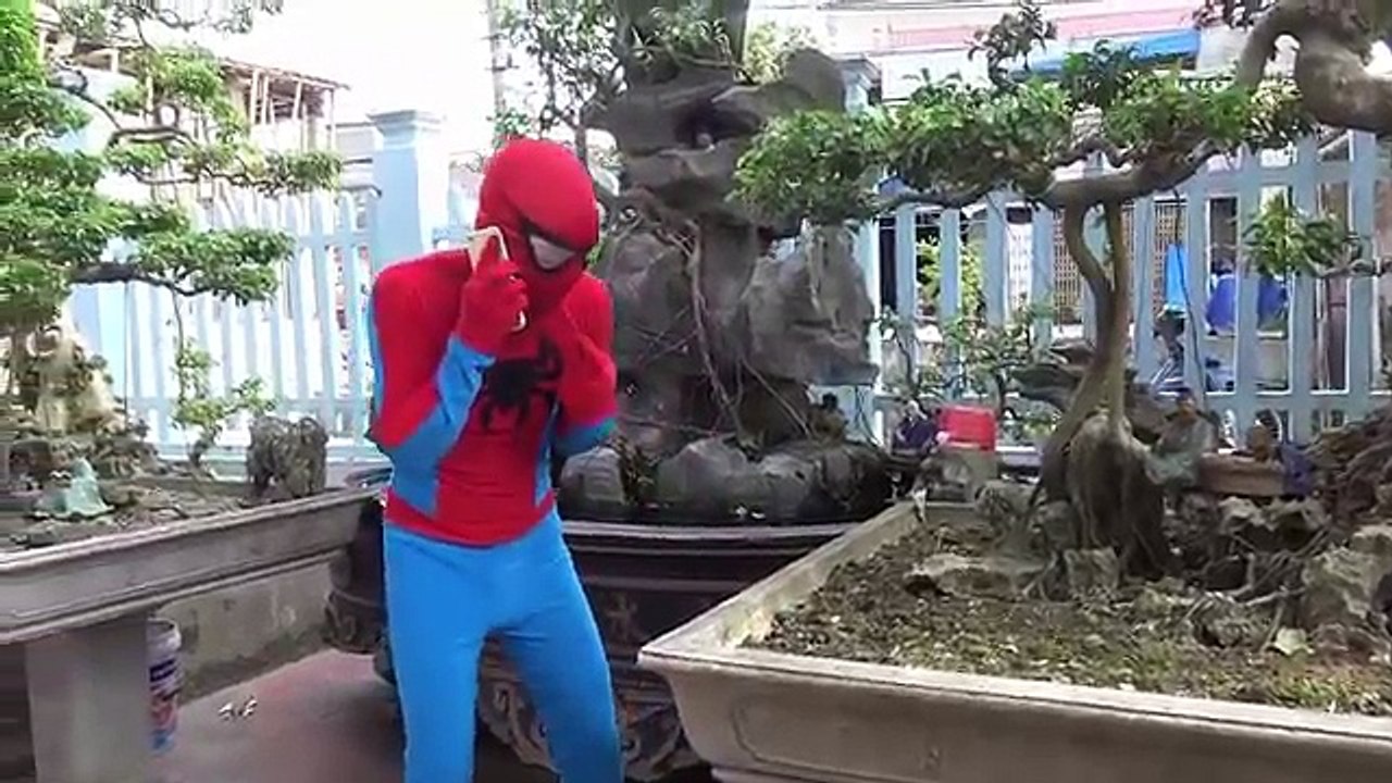 Frozen Elsa Horse racing vs Joker moto Spiderman in real life fun Superheroes pinks spidergirl