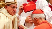 پاپ فرانسیس ۱۷ کاردینال جدید را منصوب کرد