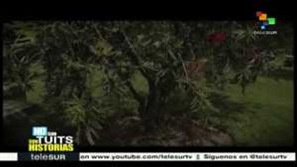 No son tuits, son historias 18/11/2016