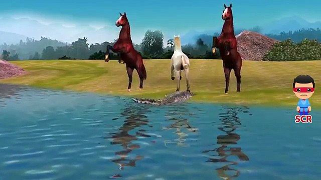 Finger Family Crocodile Nursery Rhymes | Animals Cartoon Finger Family Rhymes For Children