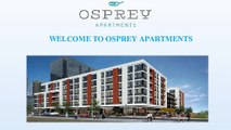 1 Bedroom Plus Apartments | Osprey Apartments