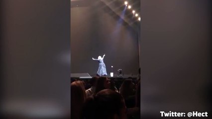 Adele freaks out mid-concert over a runaway bat