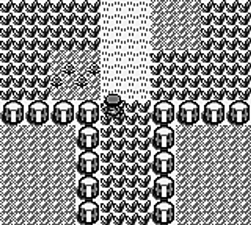 Pokémon party 003