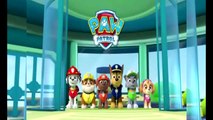 PAW Patrol - Puppies to the Rescue toy #1