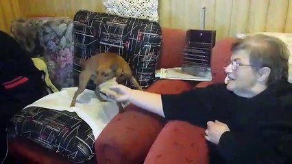 MIS PADRES JUGANDO CON "DAISY"