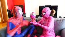 Spiderman vs Spider in Real Life! Fun Superhero Compilation w/ Frozen Elsa & Pink Spidergirl :)