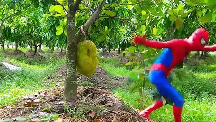 Spiderman and Masha Baby Steal Dinosaur Eggs! w Superman Frozen Elsa Funny Superheroes In Real Life