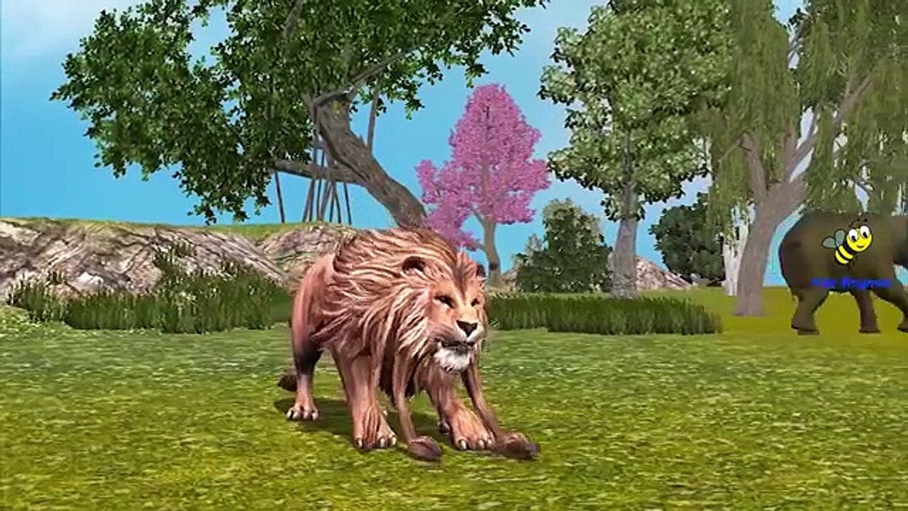 Finger Family Children Nursery Rhymes LIon Elephant Cartoons | Hippo Finger Family Rhymes