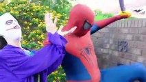 Örümcek Adam Spidergirl Bubble Gum Poo Prank! Dondurulmuş Elsa Joker Dinozor Superhero Fun Derlem