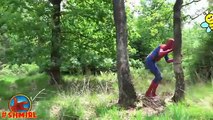 Spiderman vs BEES! w Joker and Hulk Bees Spiderman in Real Life Superhero Movie SHMIRL