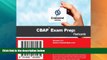 Big Sales  PMP Exam Success Series: Flashcards by Tony Johnson MBA PMP PgMP (2009-01-02)  Premium