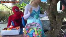 Spiderman Elsa Frozen Venom Theft wrong Toys Anna Princess Captain Fun superheroes in real life