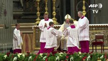 Papa Francisco nombra 17 cardenales buscando “universalidad”