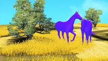 Color Song | 3D Horse Colours Songs | Colours Rhymes For Children | Horse Songs For Children