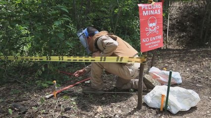 Desminado humanitario avanza en Colombia para cumplir fecha meta de 2021