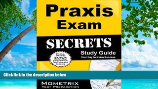 READ NOW  Praxis Exam Secrets Study Guide: Praxis Test Review for the Praxis I PPST