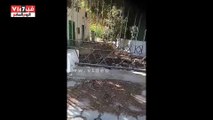 بالفيديو . مخلفات تحيط بالمبنى القديم لديوان محافظة الوادى الجديد