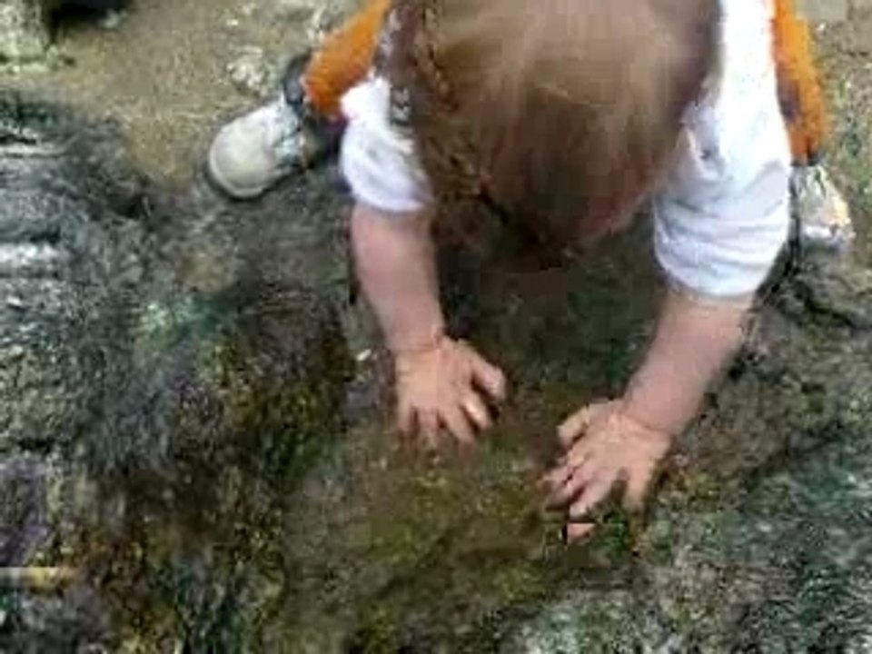 lu dans l'eau