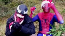 Spiderman vs Pink Spidergirl vs Spiderbaby In Real Life! w/ Venom & Iron Man! Funny Superhero Parody
